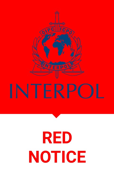 What to do if Red Notice is issued against you?