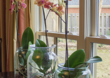 Ask Anna: December Questions 2024