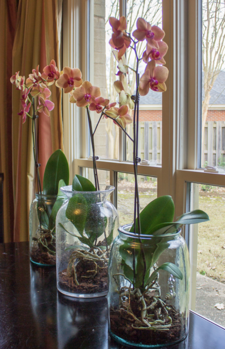 Ask Anna: December Questions 2024