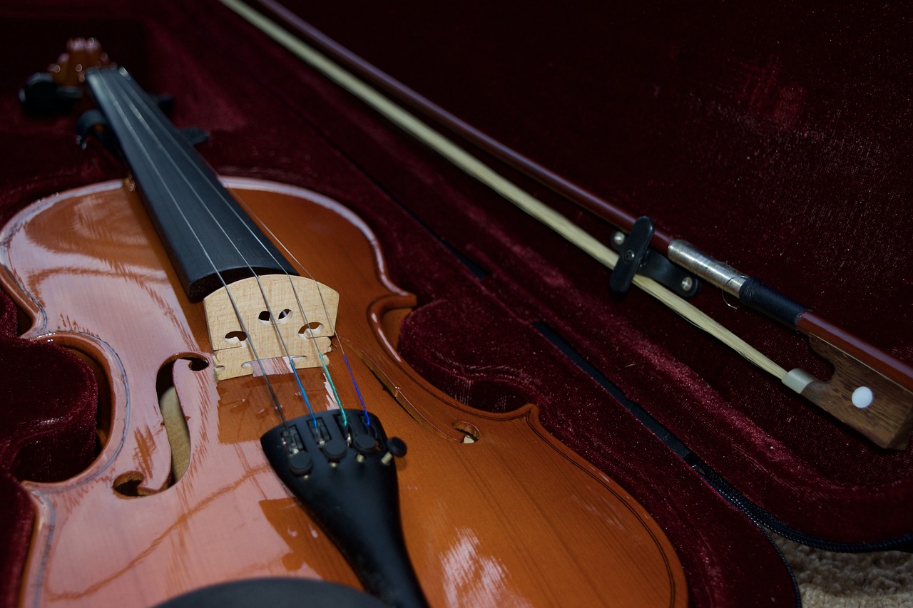 violin, velvet, bow