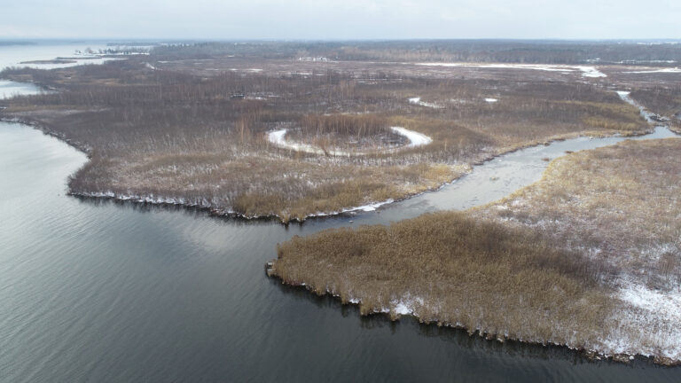 Celebrate World Wetlands Day at Cooper Marsh with RRCA and MCA