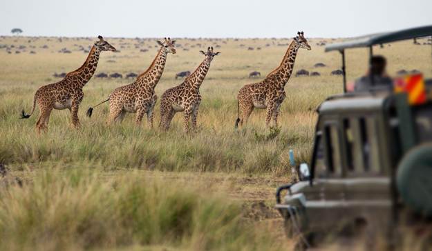 Africa Travel Vaccines: What You Need to Know Before Your Trip