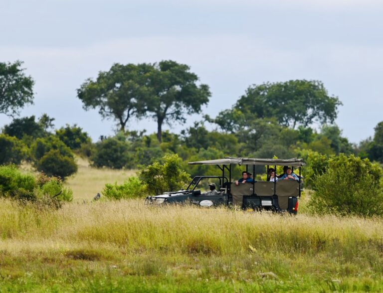 Clothing Checklist: What to Wear on an African Safari