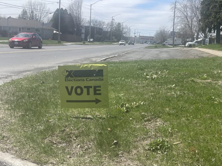 Federal Election 2025: Our Predictions