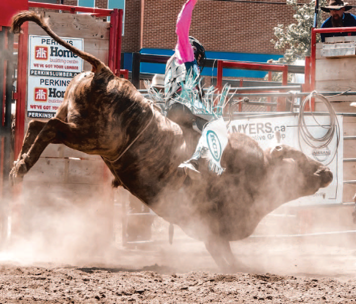 New Festival Coming to Williamstown in July