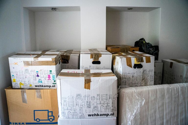 Steps to Ensure a Smooth Relocation with Professional Movers