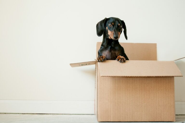 Efficient packing for small space moves