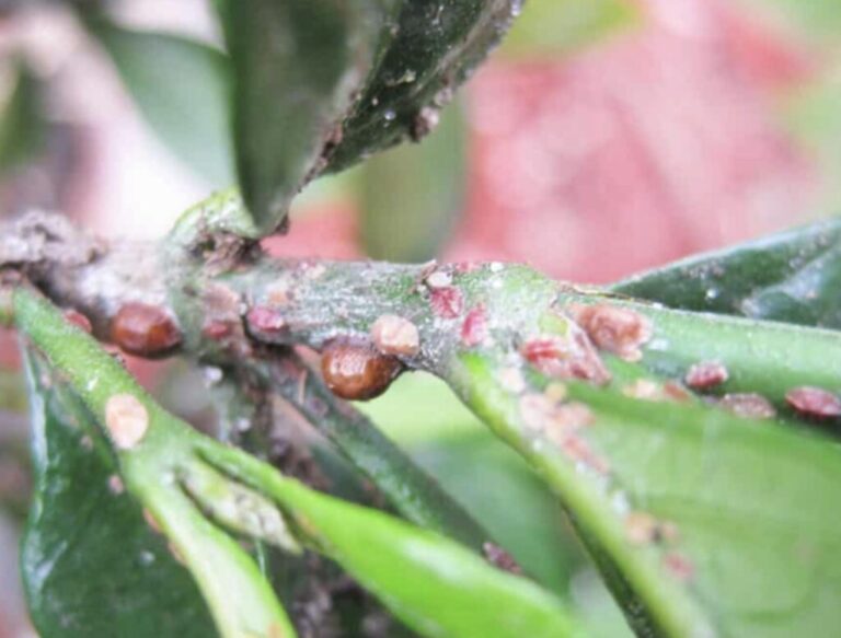 August Questions – Ask Anna