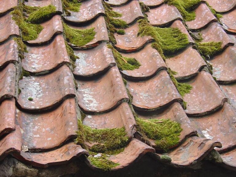 Roof Cleaning: Importance, Key Difficulties and Useful Tips