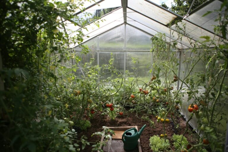 How Custom Greenhouses Elevate Gardening in Saskatchewan’s Unique Climate