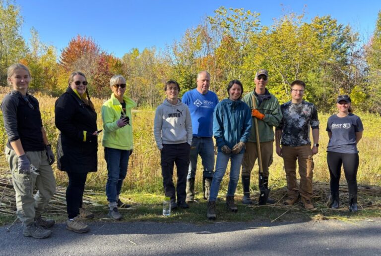 Phragmites Removal at Rotary Creek