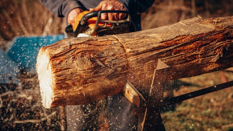 5 Gas Chainsaw Safety Basics Every Beginner Should Know