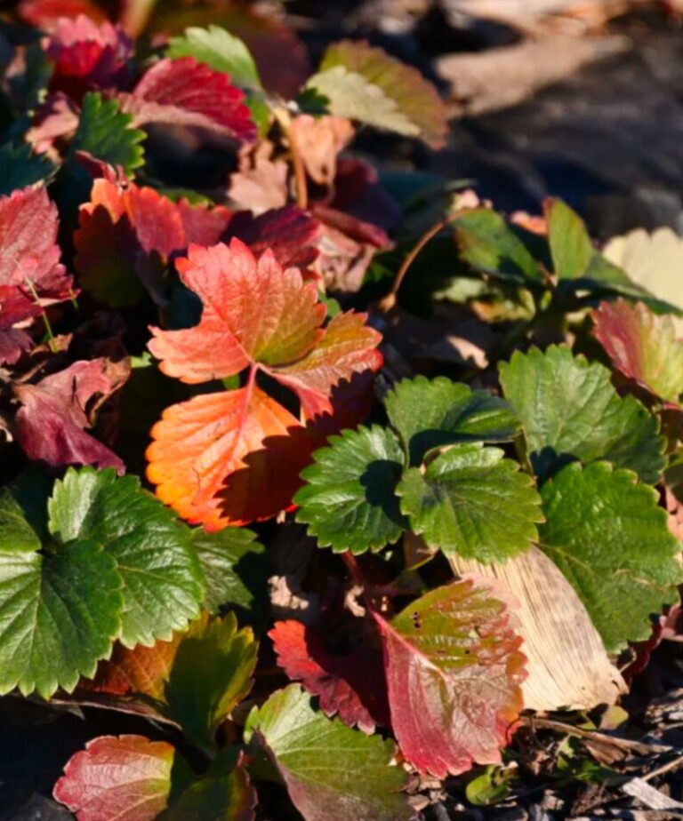 Ask Anna – October 2025 Questions