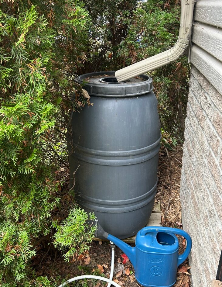 Rain barrels are an easy way to reduce flooding and lower your water bill. 