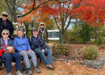 Six people on bench in front of trail